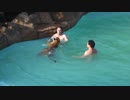 ホモと見る　虎と遊ぶおじさん