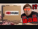 Red♪Tubeから謎のパコ届いて開封したら中身過去一ヤバすぎwww【謎のダンボール】