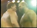 Top 100 WCW #16 Arn Anderson