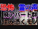 【心霊凸】北海道廃アパート群 霊の声...【観覧注意】
