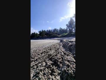 名護市幸喜公園北側ビーチ・2022年1月25日