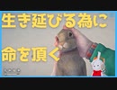野ウサギは貴重なタンパク源です･･･(泣) The Long Dark実況プレイ#2