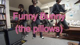 【全部オレ】Funny Bunny (the pillows)【All Played Alone】