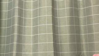 王様ランキングOP2『裸の勇者』をアルトリコーダーで吹いてみた