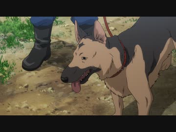 ハコヅメ～交番女子の逆襲～　第4話　「拝啓お犬様」「ランナーズ・ハイ」