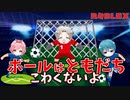 超次元サッカーゲーム、ここに開幕！【 ROBLOX】【ゲーム実況】