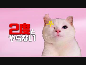 ２度とやらないクソゲー達【まばたきで疲労が回復するまでは納得いってた】ドロップワンNPC