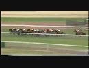 【体高184cm】オーストラリアの巨漢競走馬ホーリーローラー号