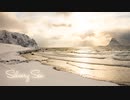 【無料フリーBGM】造語ボーカルの切ないフォーク「Silvery_Sea」