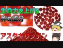 【ゆっくり解説】生命力を向上させる！？神の成分「アスタキサンチン」