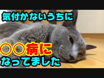 【ねこ】○○病と発覚、測定不能の数値に愕然