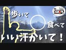 桃太郎と共に山を歩いた気分で【百蔵山から扇山まで悪魔の縦走記録】