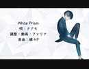 【ナクモ】White Prism【NEUTRINOカバー】