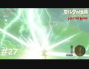 よそ見してると雷に当たる【ゼルダの伝説 ブレスオブザワイルド マスターモード】#27