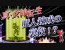 真・女神転生 幻の悪魔「魔人将門様」「超人わるお」を作るバグ【ゆっくり解説】