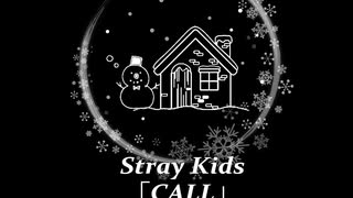 Stray Kids 『CALL』 Vertical Music Video