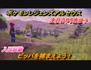 ポケモンレジェンズ アルセウス　注目のやり方は？ビッパを捕まえよう！入団試験　＃６【Pokémon LEGENDS アルセウス】