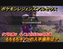 ポケモンレジェンズ アルセウス　もちもちキノコの入手場所は？　サブ任務６　キノコよせだまの広告塔攻略　＃２４【Pokémon LEGENDS アルセウス】