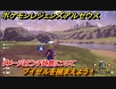 ポケモンレジェンズ アルセウス　ブイゼルを捕まえよう！ダメージとピンチ状態について　＃１４【Pokémon LEGENDS アルセウス】