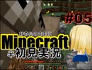 好奇心のままにMinecraftを半初見実況 part05