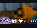 【ざつなせいかつ】1月～ダイエットしましょうの巻～