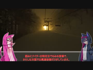 【ささつづ】ゆるふわスキー巡り&カメラテストその2【尾瀬岩鞍スキー場の大晦日ナイター&花火】