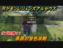 ポケモンレジェンズ アルセウス　草原の音色攻略　サブ任務１１　＃３０【Pokémon LEGENDS アルセウス】