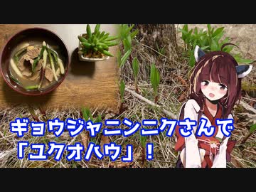 【思い切って野草を食べてみよう】#53 ギョウジャニンニクさんで「ユクオハウ」！