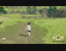 【ポケモンレジェンズ】ヒノアラシ捕まえてみた