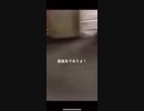 ホモと見るキチゲェが正気に戻る瞬間