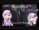 【エスコンゼロ】ゆかりさんとゆづきさんのストレンジリアル史#8【VOICEROID実況】
