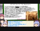 もこけねのSCPで暇つぶし-58
