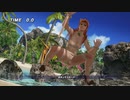 【DoaX3/かすみ】ロッククライミング 待機 かすみ 013016