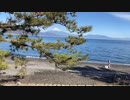 富士山@三保の松原20220109 iPhoneSE2 楽天回線またはau回線　その１