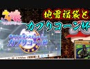 【ウマ娘】Zirai福袋はカプリコーン杯決勝を勝てるか？