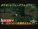 ポケモンレジェンズ アルセウス　ミツハニーを捕まえたい！出現場所は？　＃４７【Pokémon LEGENDS アルセウス】