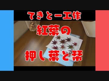 紅葉で押し葉と栞を作ってみた