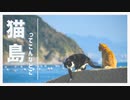【ゆっくり旅行】猫が沢山いる島「相島」で写真旅 | いいとこめぐり #5