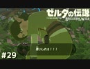 お花の恨み…【ゼルダの伝説 ブレス オブ ザ ワイルド㉙】