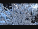 【オリジナル】それでも