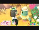 【 あつまれどうぶつの森 】 ♥²島開拓記録161【 Vtuber 】