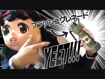 部屋に入る前にフラッシュグレネードを投げ入れるつきのみと