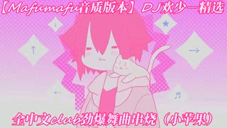 【Mafumafu音质版本】DJ欢少－精选全中文club劲爆舞曲串烧（小苹果）