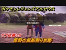 ポケモンレジェンズ アルセウス　原野の風船割り攻略　サブ任務１５　ミニゲーム風船割り　＃５０【Pokémon LEGENDS アルセウス】