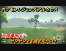 ポケモンレジェンズ アルセウス　ヤンヤンマを捕まえたい！出現場所は？　＃５９【Pokémon LEGENDS アルセウス】