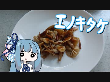 【A.I.VOICEキッチン】育てたキノコを食べる葵ちゃん　リローデッド