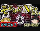 【ゆっくりSCP解説】超短編なのに超難解SCP!_この謎を解けるか？【SCP-4517_それほどNじゃない_Safe】