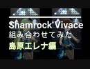 Shamrock Vivaceで組み合わせてみた【島原エレナ編】