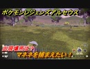 ポケモンレジェンズ アルセウス　マネネを捕まえたい！出現場所は？　＃１１７【Pokémon LEGENDS アルセウス】