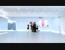 TWICE The Feels Dance Practice (mirror)